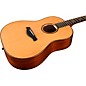 Taylor Builder's Edition 517 Grand Pacific Dreadnought Acoustic Guitar Natural