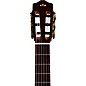Cordoba GK Studio Flamenco Acoustic-Electric Guitar Edge Burst