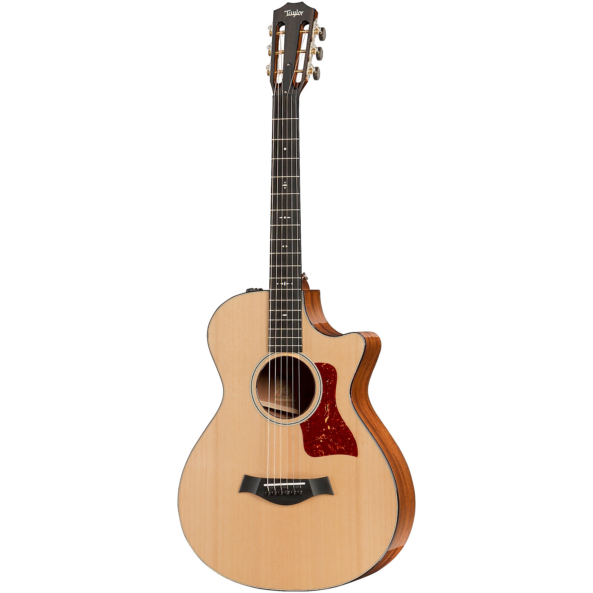 Platinum Taylor 512ce 12-Fret V-Class Grand Concert Acoustic