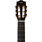 Cordoba C5 SP Classical Acoustic Guitar Natural