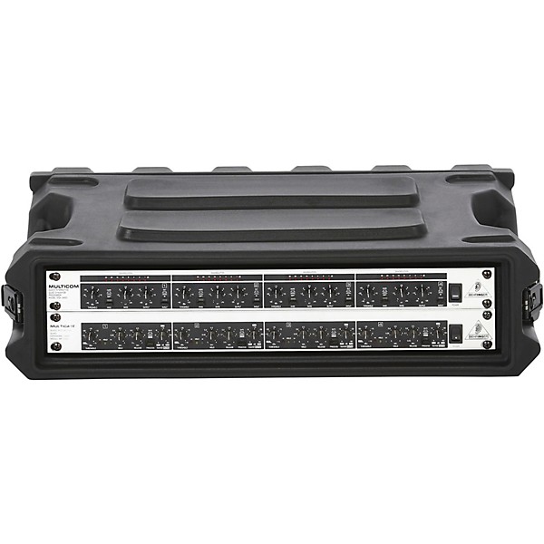 Gator Pro Series 2U, 13" Deep Molded Audio Rack (G-PRO-2U-13)