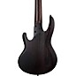 ESP LTD B-1005 Multi-Scale 5-string Bass Natural Satin