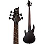 ESP LTD B-1005 Multi-Scale 5-string Bass Natural Satin