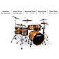 ddrum Dios 5-Piece Exotic Zebra Wood Shell Pack With 22" Bass Drum Gloss Natural
