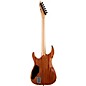 ESP USA Horizon II Electric Guitar See-Thru Black Fade