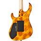 Caparison Guitars Horus-M3 EF Electric Guitar Tiger's Eye
