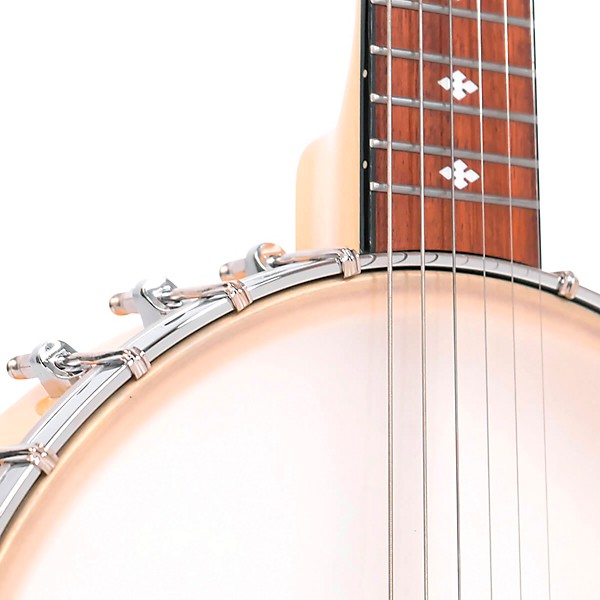 Gold Tone BT-1000 6-String Banjo Guitar Gloss Natural