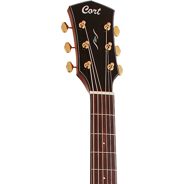 Open Box Cort Gold D6 Dreadnought Acoustic Guitar Level 2  197881063580