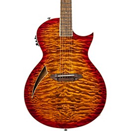 ESP LTD TL-6 Thinline Acoustic-Electric Guitar Transp... ESP LTD TL-6 Thinline Acoustic-Electric Guitar Transparent Tiger Eye