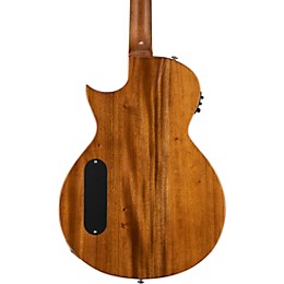 Open Box ESP LTD TL-6 Thinline Acoustic-Electric Guitar Level 1 Transparent Tiger Eye