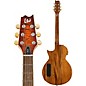 Open Box ESP LTD TL-6 Thinline Acoustic-Electric Guitar Level 2 Transparent Tiger Eye 190839762252