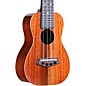 Kanile'a Ukulele K1 Soprano TRU-R Ukulele Gloss Natural