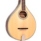 Gold Tone Banjola+ Woodbody Banjo Gloss Natural