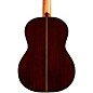Cordoba C7 SP/IN Nylon-String Classical Acoustic Guitar Natural