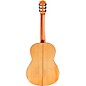 Cordoba F7 Nylon-String Flamenco Acoustic Guitar Natural