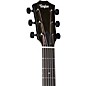 Taylor 214ce-BLK DLX Grand Auditorium Acoustic-Electric Guitar Black