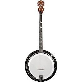 Gold Tone TS-250 Tenor Special Banjo With Case Vintage Brown