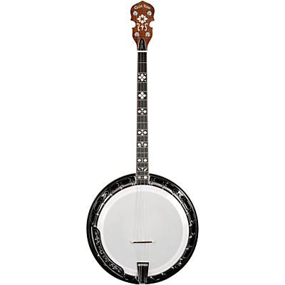 Gold Tone Ts-250 Tenor Special Banjo With Case Vintage Brown for sale