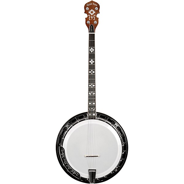 Gold Tone TS-250 Tenor Special Banjo With Case Vintage Brown