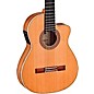 Ortega BWSM/2 Ben Woods Signature Flamenco Acoustic-Electric Guitar Natural thumbnail