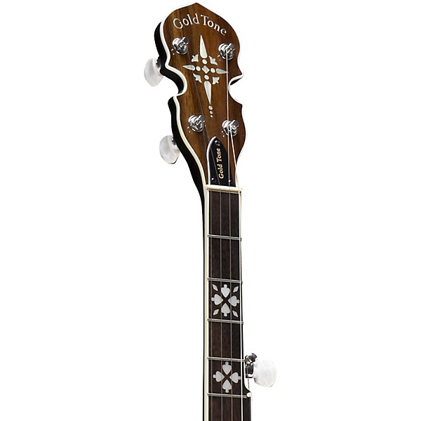 Gold Tone BG-150F Left-Handed Bluegrass Banjo with Flange Vintage Brown