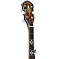 Gold Tone BG-150F Left-Handed Bluegrass Banjo with Flange Vintage Brown