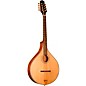 Gold Tone OM-800+Left-Handed Octave Mandolin with Case Natural thumbnail