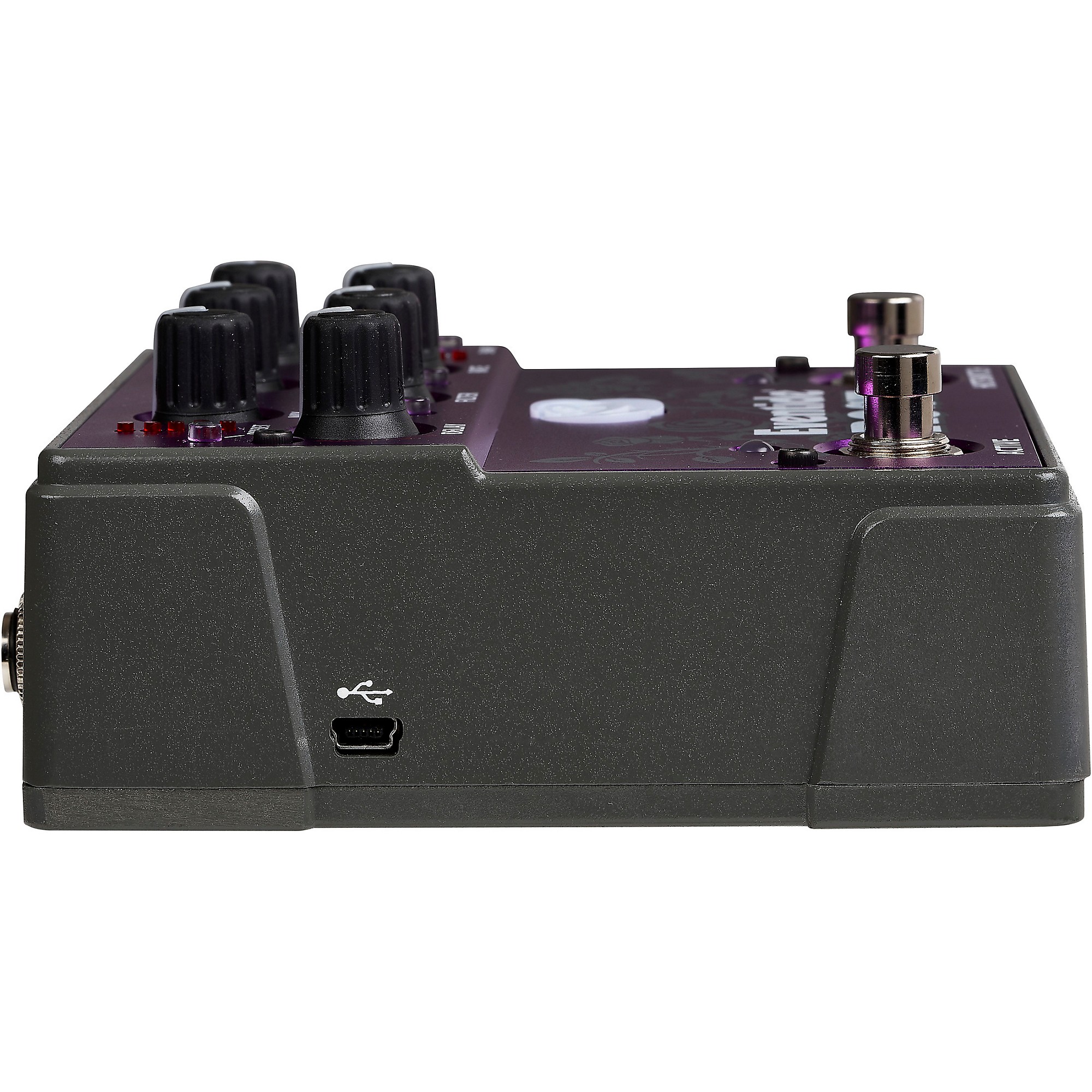 Eventide Rose Bit-Bucket Brigade Delay Effects Pedal