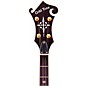Gold Tone EBM-5 Electric Solidbody 5-String Banjo For Left Hand Players Sunburst