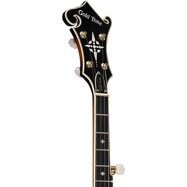 Gold Tone EBM-5 Electric Solidbody 5-String Banjo For Left Hand Players Sunburst