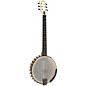 Gold Tone Left-Handed 6-String Banjo Guitar Gloss Natural