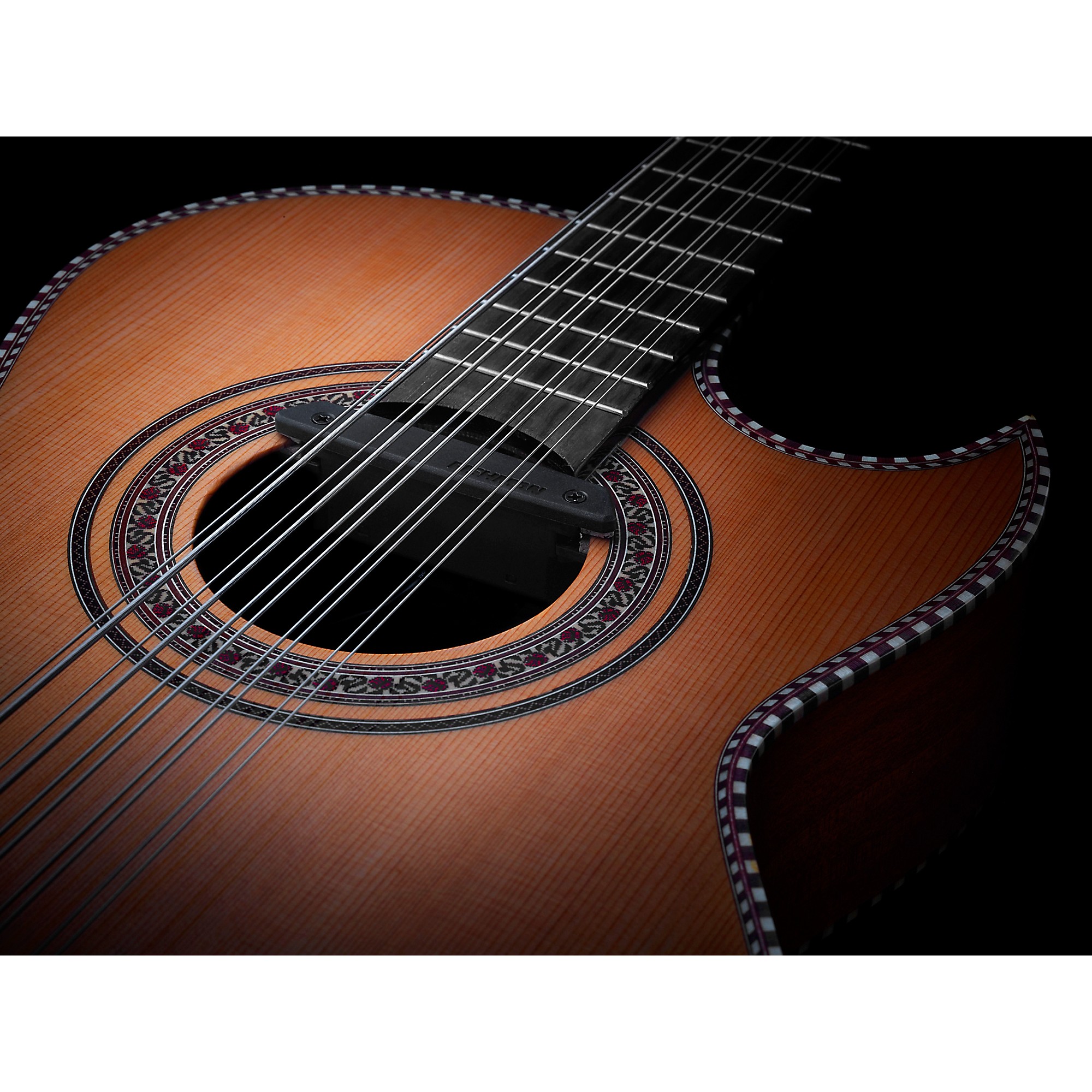 Fishman Rare Earth Bajo Quinto Soundhole Pickup Black