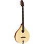 Gold Tone Irish Bouzouki Mandolin with Case Satin Natural