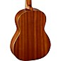 Ortega Family Series R121 Full-Size Nylon-String Guitar Natural Matte