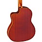 Ortega Family Series RCE125SN Thinline Acoustic-Electric Classical Guitar Satin Natural