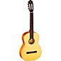 Ortega Family Series Pro R133 Classical Guitar Natural