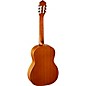 Ortega Family Series Pro R133 Classical Guitar Natural