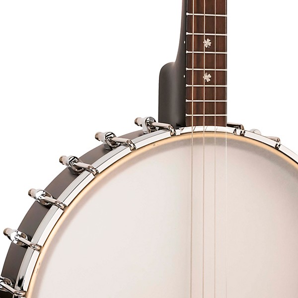 Gold Tone IT-19 Irish Tenor Banjo Natural