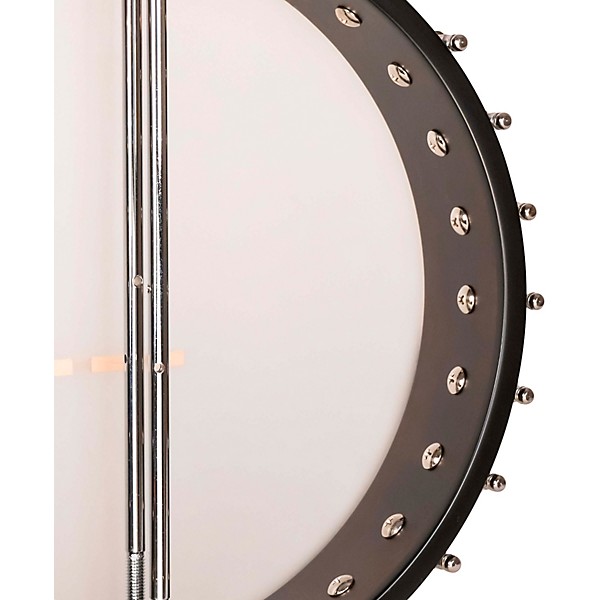 Gold Tone IT-19 Irish Tenor Banjo Natural