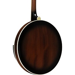 Gold Tone Mastertone IT-250F/L Left-Handed Irish Tenor Banjo With Flange Vintage Brown