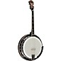 Gold Tone Mastertone IT-250F/L Left-Handed Irish Tenor Banjo With Flange Vintage Brown