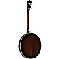 Gold Tone Mastertone IT-250F/L Left-Handed Irish Tenor Banjo With Flange Vintage Brown