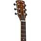Gold Tone Paul Beard Signature Series Metal Body 6-String Guitar For Left Hand Players