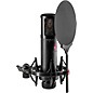 Open Box sE Electronics sE2300 microphone with shock mount,pop filter and thread adapter Level 1 Black thumbnail