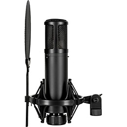 sE Electronics sE2300 microphone with shock mount,pop filter and thread adapter Black