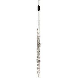 Tomasi Series 10S Flute, Solid .925 Silver Body, Solid .925 Silver Headjoint Grenadilla Wood Lip-Plate and Riser