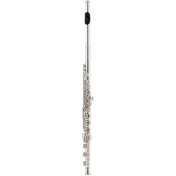 Tomasi Series 10S Flute, Solid .925 Silver Body, Solid .925 Silver Headjoint Grenadilla Wood Lip-Plate and Riser