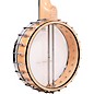 Gold Tone Maple Mountain Long Neck Openback Banjo Gloss Natural
