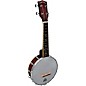 Gold Tone Soprano-Scale Banjo Ukulele with Case Satin Finish thumbnail