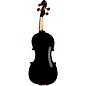 Open Box Rozanna's Violins Dragon Spirit Violin Outfit Level 2 1/2 190839837073
